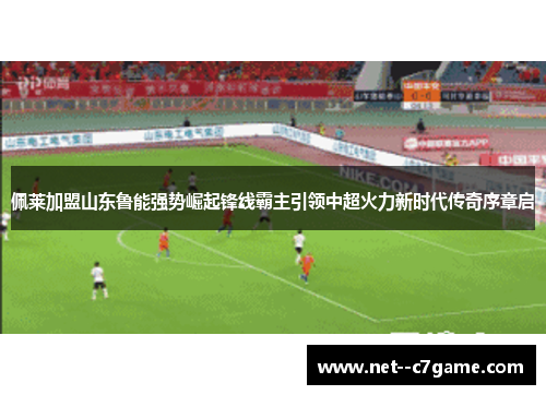 佩莱加盟山东鲁能强势崛起锋线霸主引领中超火力新时代传奇序章启 佩莱加盟山东鲁能强势崛起锋线霸主引领中超火力新时代传奇序章启