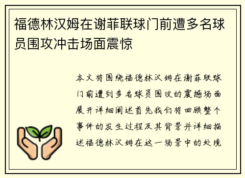 福德林汉姆在谢菲联球门前遭多名球员围攻冲击场面震惊
