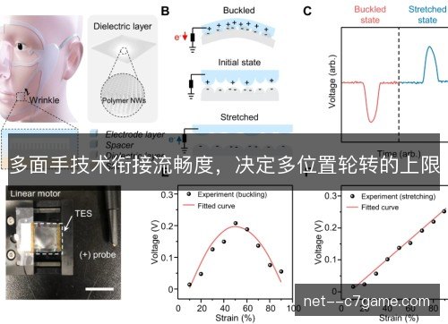 多面手技术衔接流畅度，决定多位置轮转的上限